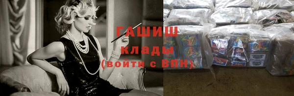 стаф Алзамай