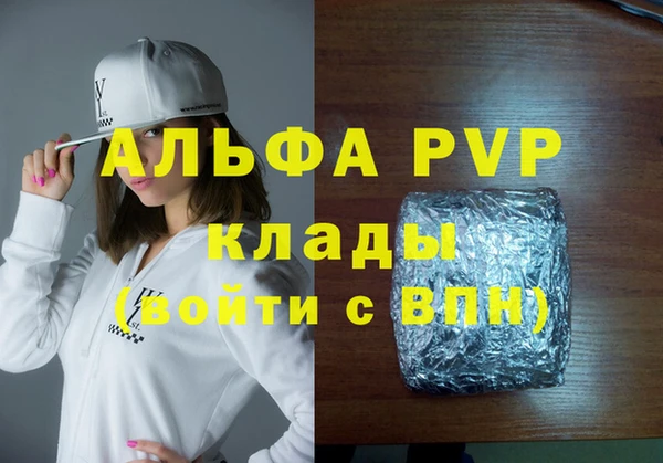 стаф Алзамай