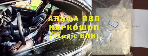 стаф Алзамай