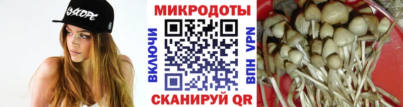 KRAKEN ТОР  Берёзовка  Псилоцибиновые грибы ЛСД 